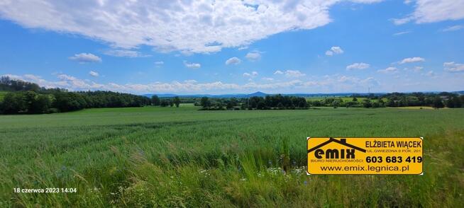 3 działki budowlane z ładnym widokiem - Pielgrzymka
