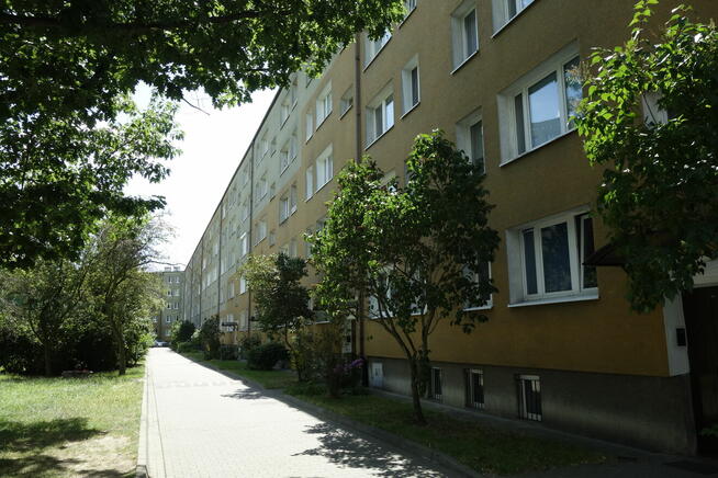 Poszukuję mieszkania w Luboniu