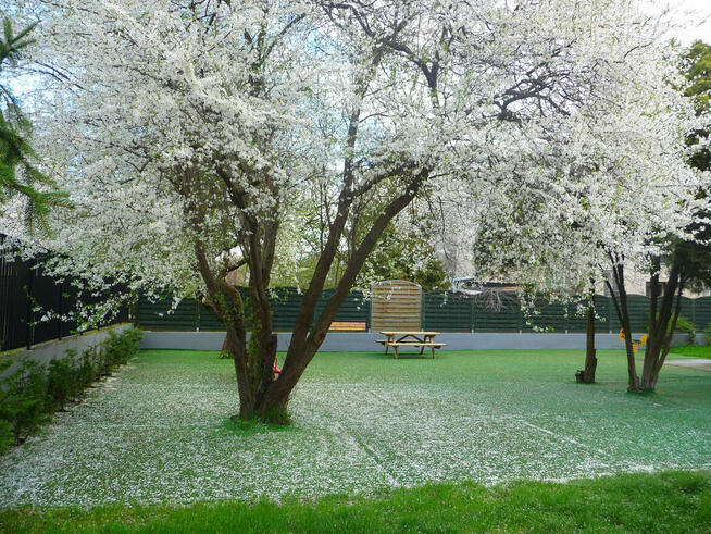 Zatrudnię nauczyciela do grupy pięcio-sześciolatków