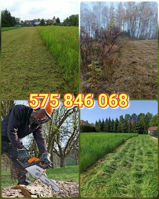 Koszenie trawy, nieużytków, kosiarka bijakowa, karczowanie.
