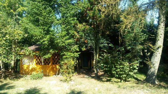 Działka lubelskie Uścimów Stary