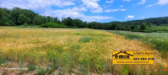 3 działki budowlane z ładnym widokiem - Pielgrzymka