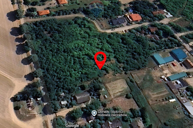 Urocza działka w lesie nad Wisłą