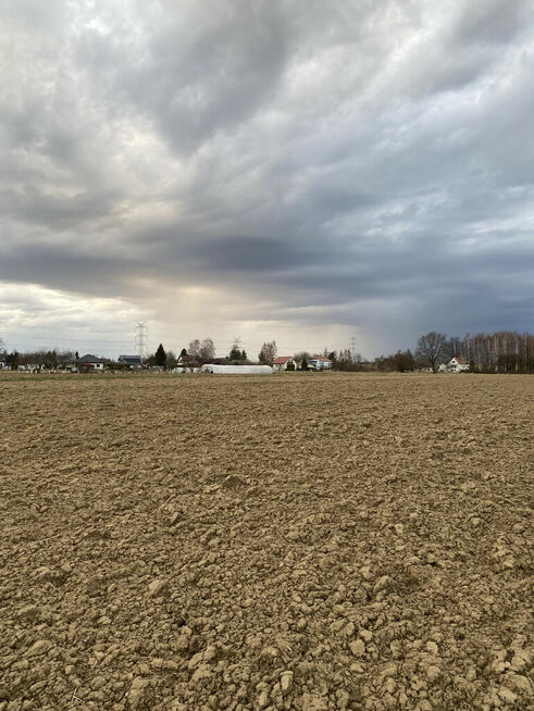 Działki rolno-budowlana w Wojniczu