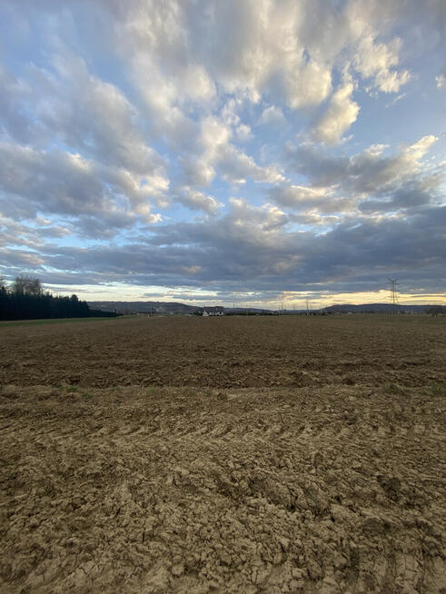 Działki rolno-budowlana w Wojniczu