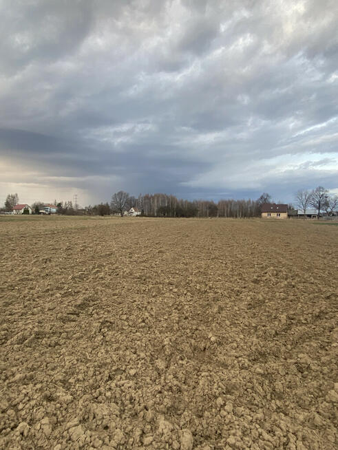 Działki rolno-budowlana w Wojniczu