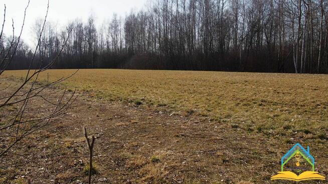 Działka budowlana Werdun gm. Tarczyn, Górna Droga