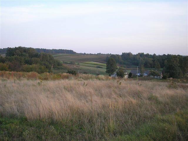 Działka rolna Karmanowice gm. Wąwolnica