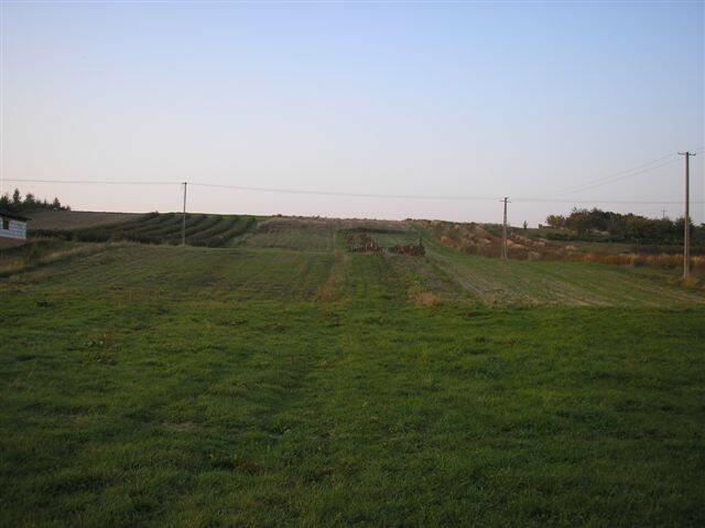 Działka rolna Karmanowice gm. Wąwolnica