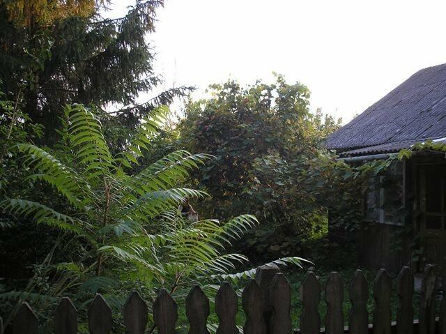 Działka rolna Karmanowice gm. Wąwolnica