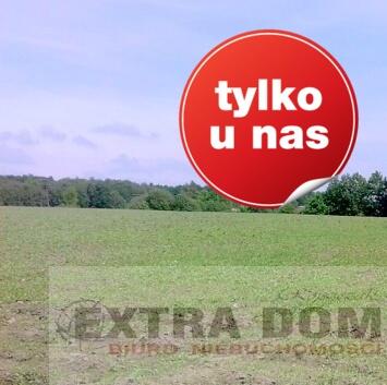 Działka łosośnica