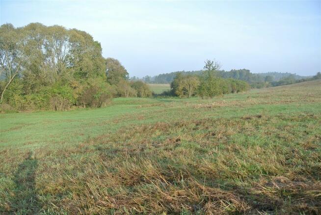 Działka usługowa Sobków