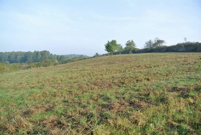 Działka usługowa Sobków