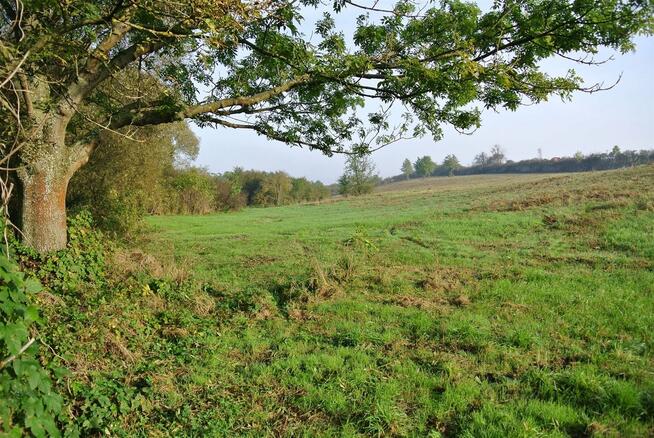 Działka usługowa Sobków