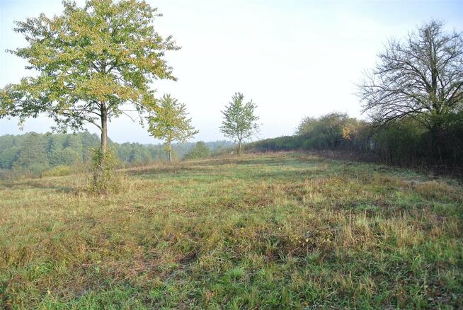 Działka usługowa Sobków