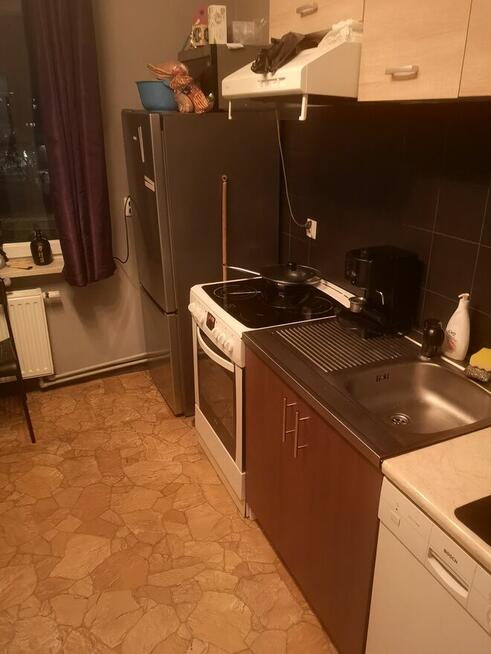 Także dla Palących! Mieszkanie na Doby dla Kobiet