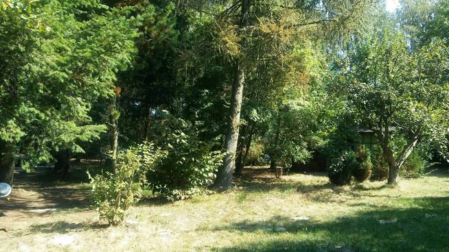 Działka lubelskie Uścimów Stary