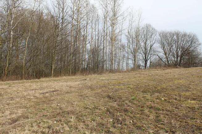 Działka pomiędzy dwoma jeziorami obok Mragowa