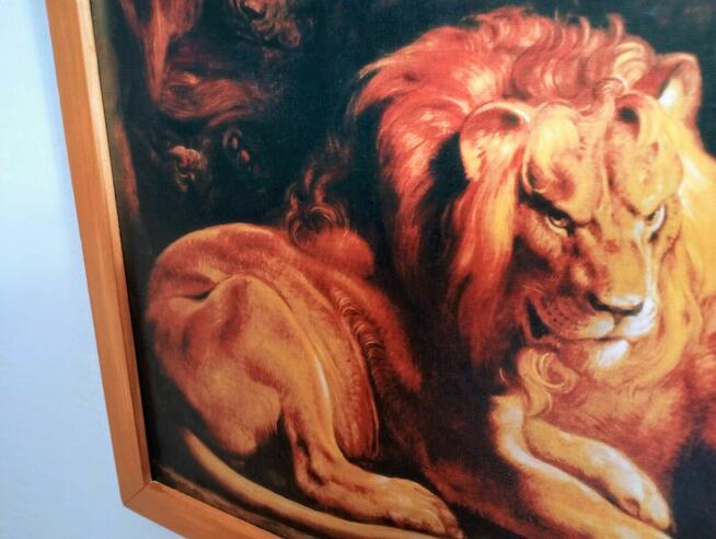 Obraz na płótnie -Daniel w jaskini lwów, Rubens, 50x70cm