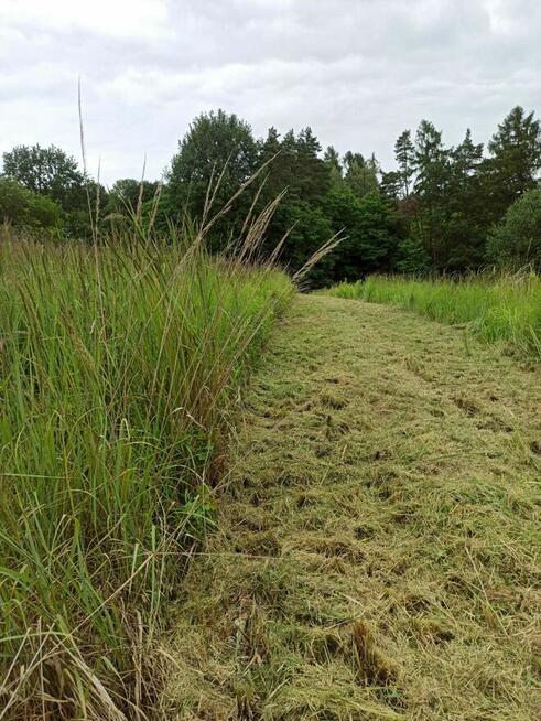 Koszenie trawy, nieużytków, kosiarka bijakowa, karczowanie.