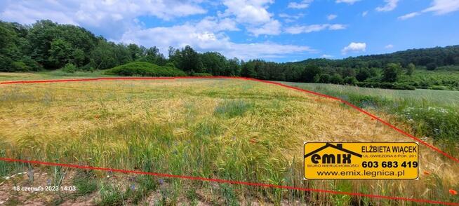 3 działki budowlane z ładnym widokiem - Pielgrzymka