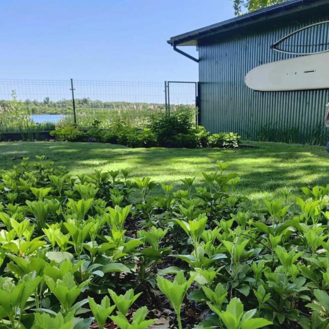 Systemy nawadniające - podlewanie, nawadnianie trawników