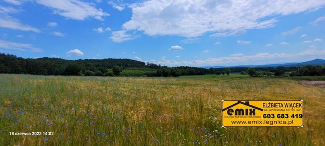 3 działki budowlane z ładnym widokiem - Pielgrzymka
