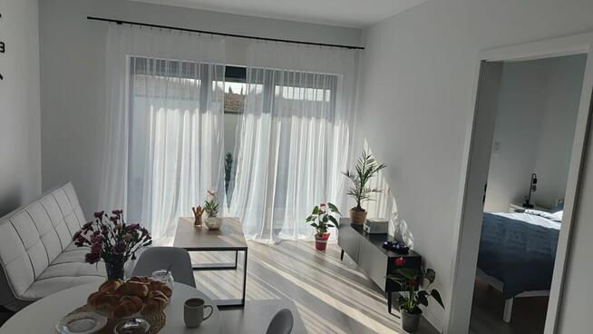 Leśne Zacisze Jaszczółtowo