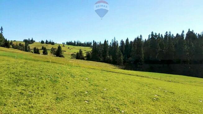 DZIAŁKA W RZEPISKACH Z WIDOKIEM NA TATRY
