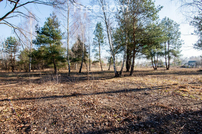 Działka budowlana w odległości 500m od trasy E7