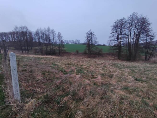 Sprzedam dużą działkę budowlaną