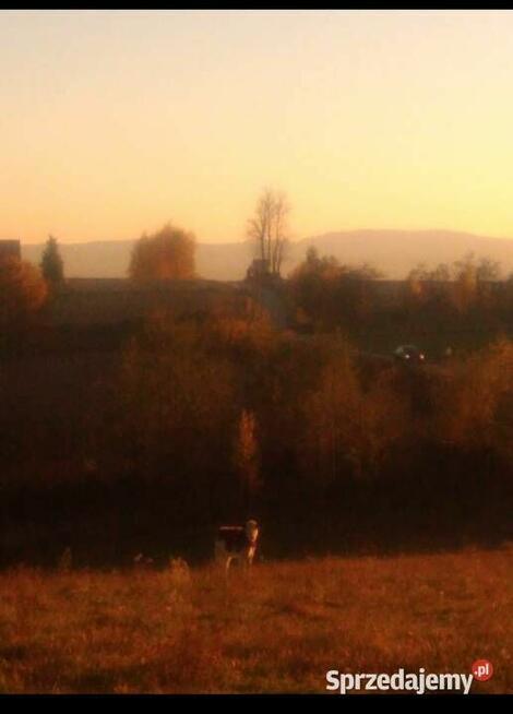 Piękna działka budowlana z widokami na góry
