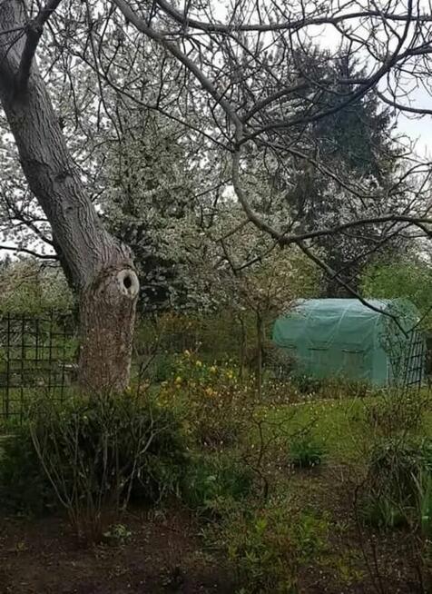 Działka ROD Warszawa prąd/woda