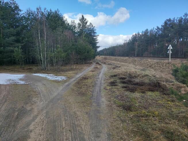 Syndyk sprzeda udział w prawie współwłasności nieruchomości