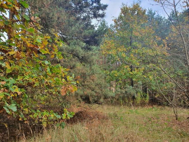 Działka budowlana Wiązowna