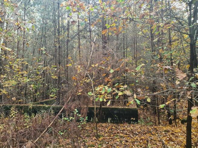 Działka budowlana Wiązowna