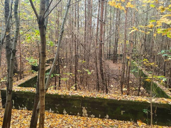 Działka budowlana Wiązowna