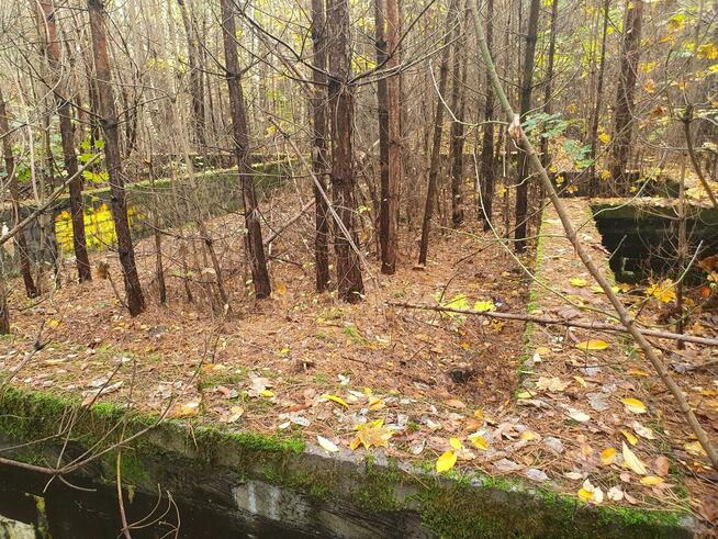 Działka budowlana Wiązowna