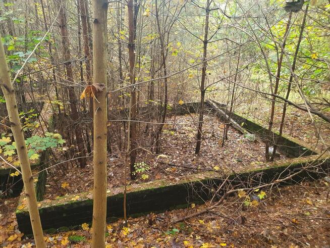 Działka budowlana Wiązowna