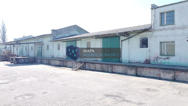 Wynajem dwóch hal magazynowych 425m2 w Centrum