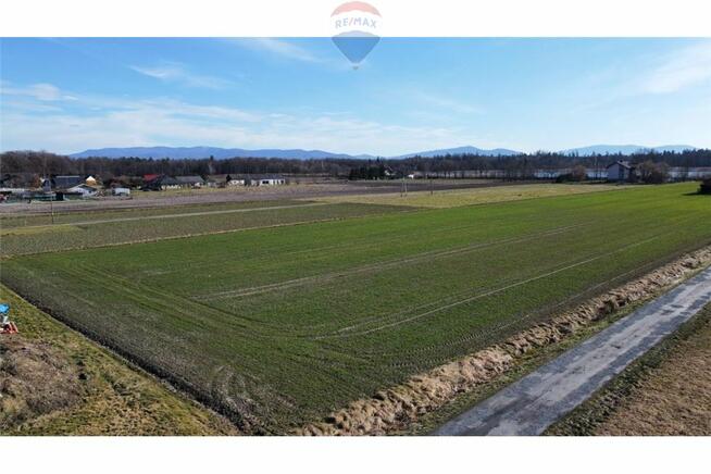 Działka budowlana w Zaborzu