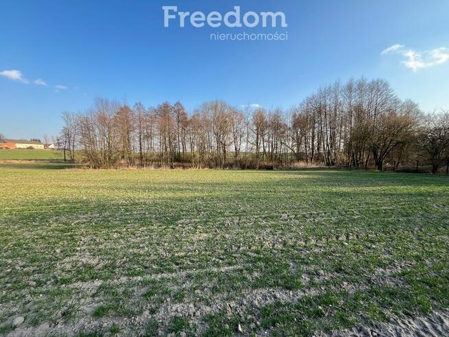 Urokliwa działka ze stawem w Grębocinie