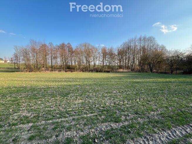 Urokliwa działka ze stawem w Grębocinie