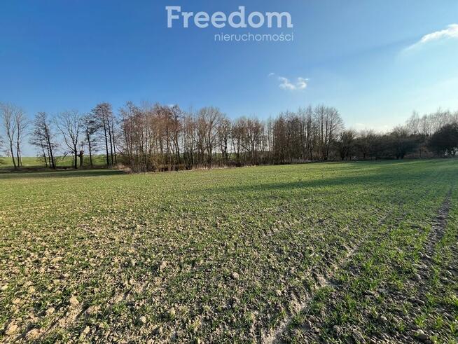 Urokliwa działka ze stawem w Grębocinie
