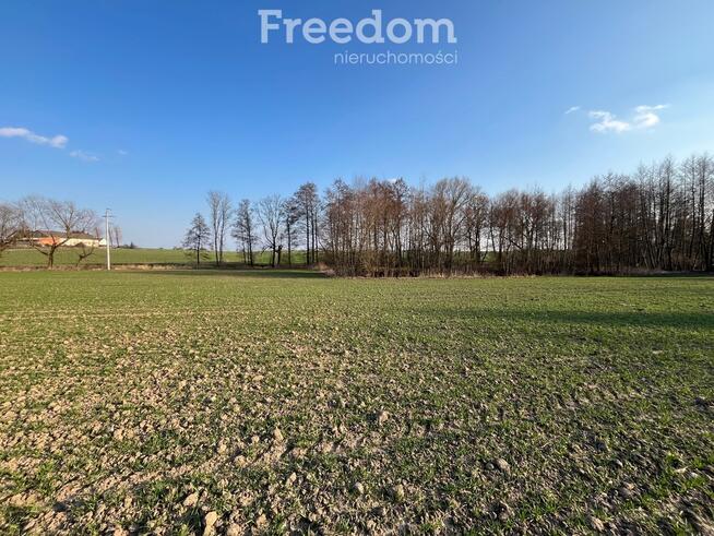 Urokliwa działka ze stawem w Grębocinie