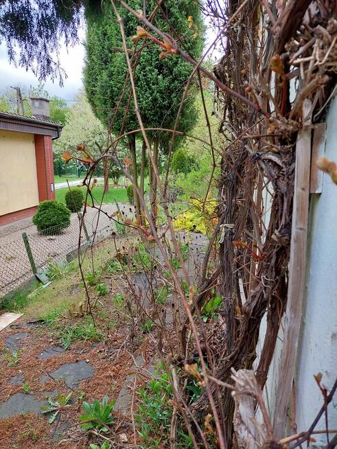 Działka RODO Myślęcinek