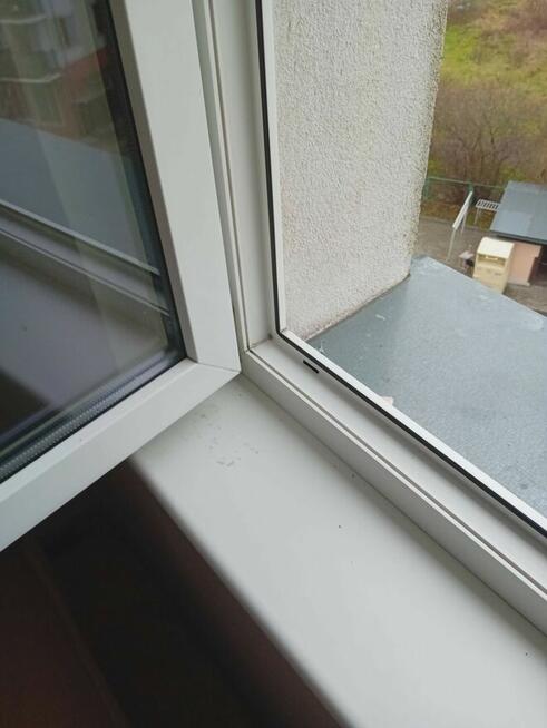 Usługi Sprzątające