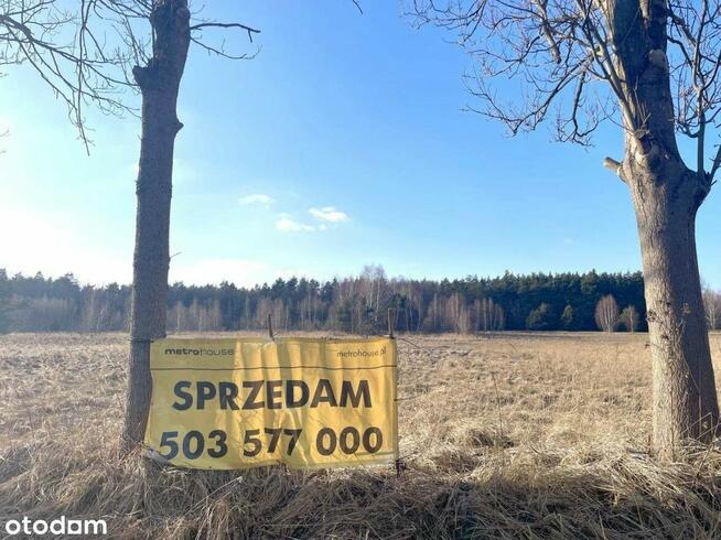 Warężyn - działka produkcyjno-usługowa 4 841 m2 !!