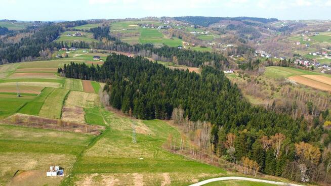 40 arów działki budowlanej w Paszynie