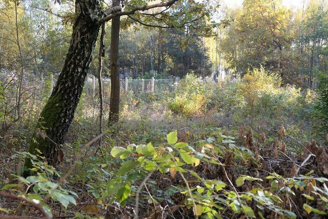 Halinów, Cisie, dz. budowlana 900 m2, MPZP